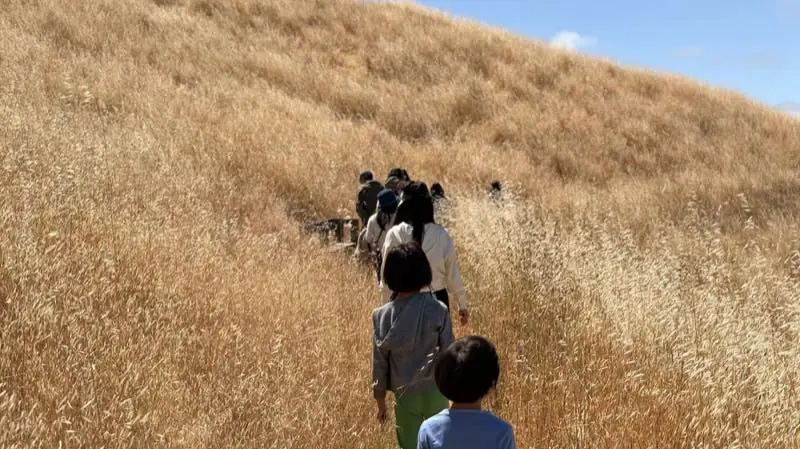 Walking together outdoors